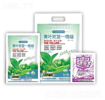 含氨基酸水溶肥料-黃葉死苗一噴綠+高抗病毒誘導素-金億豐
