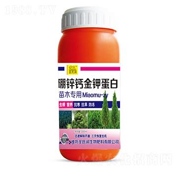 ���\�}��⛵���-ʥ�ϝ�