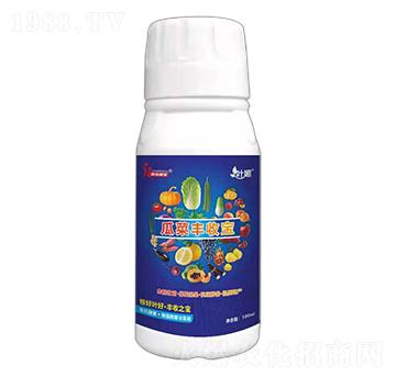 �ϲ��S�Ռ�-�~��-�s��ֲ��