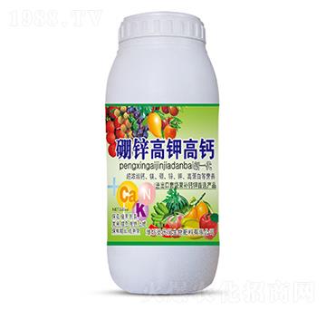 500ml���\��⛸��}-ʥ�ϝ�