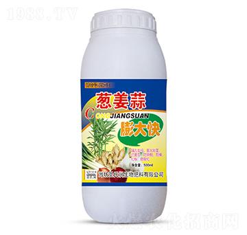 �[��������-ʥ�ϝ�