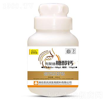 �������Ǵ��}-ʥ�ϝ�