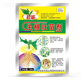 �������焩-����-ʥ�ϝ�