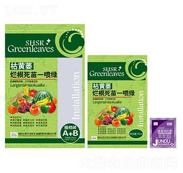 ���Sή��������һ���G-ʥ�ϝ�