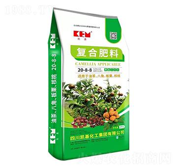 �ͺϷ���20-8-8-�P��