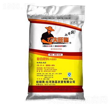 �ͺϷ��ϣ����）��26-0-4-�P��