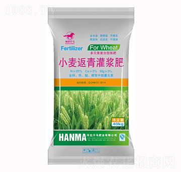 С��������{��-���R�ʘI(y��)