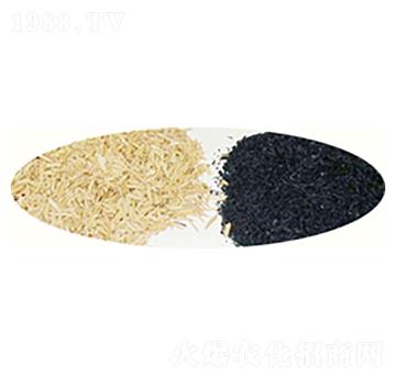 ������������̿-ԣ����Դ