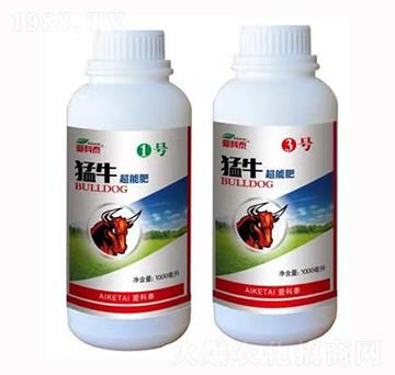 ��ţ���ܷ�-�ۿ�̩