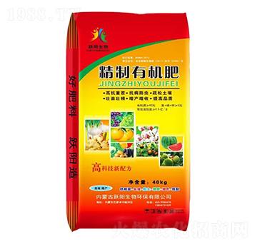 �����ЙC(j��)��-�S�����