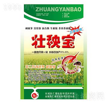 ���팚-�R���r��