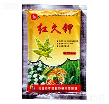 �t���-�R���r��