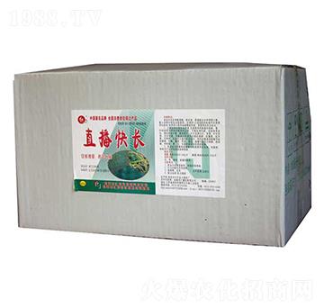 ֱ�����L-�R���r��