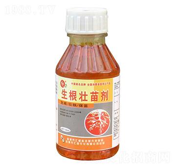 �������焩-�R���r��