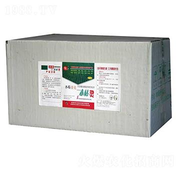 ����`���䣩-�R���r��