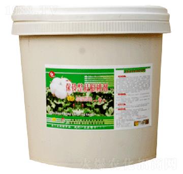 �����֦���҄���Ͱ��-�R���r��