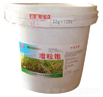 �����Ͱ��-�R���r��