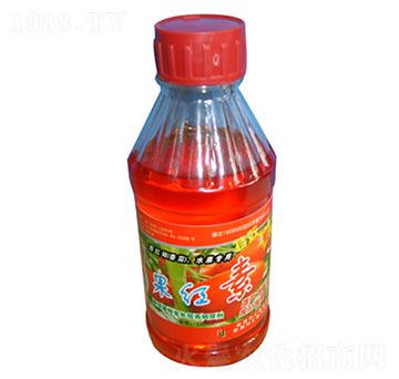 ���t��-�R���r��