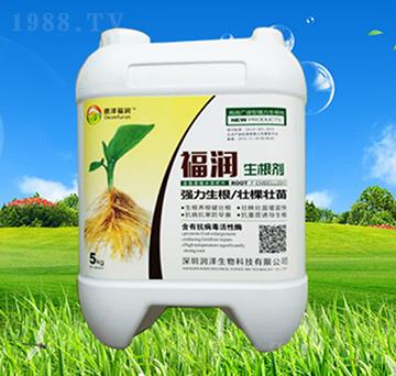 ������-����(r��n)-��(r��n)������