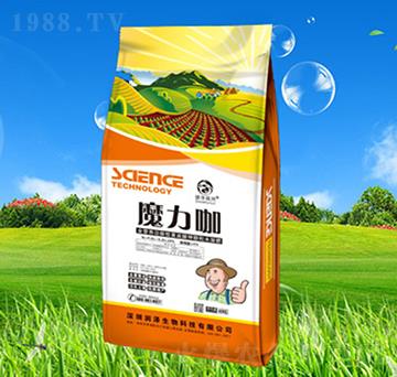 ħ����-��(r��n)������