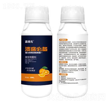 ΢�������-�����؂�-�ξGԪ