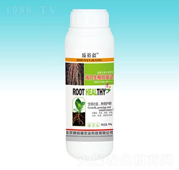 ��(qi��ng)�����������`-��ԣ��