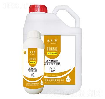 �Ǵ������}-������-�P(y��ng)������