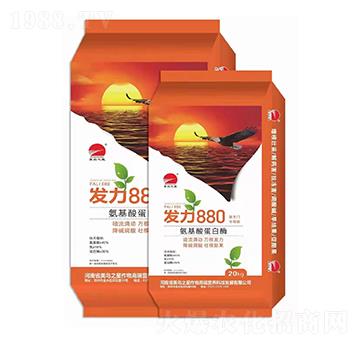 �����ᵰ��ø-�l(f��)��880-���u֮��