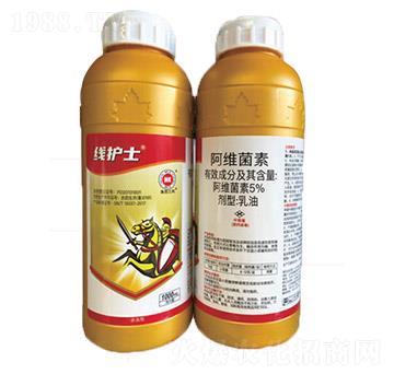 5%���S����-���oʿ-��������