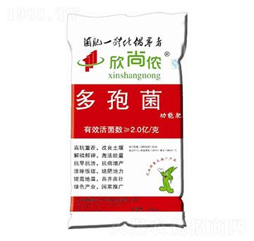 ���߾�-���Ѓz