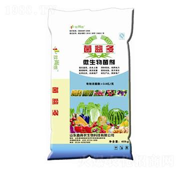 ΢�������-�����-���Ѓz