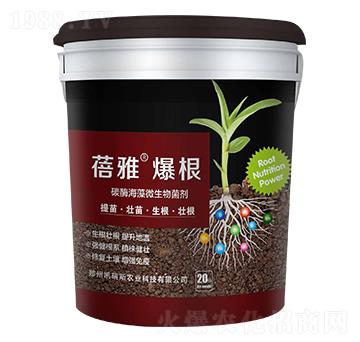 ̼ø����΢�������-���ű���-�P��˹