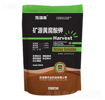 1000g�VԴ�S�����-�P��˹