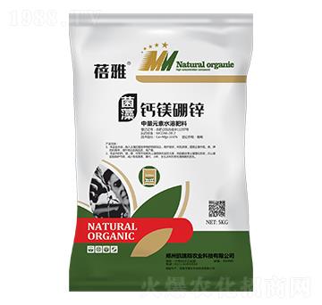 �����}�V���\-����-�P��˹