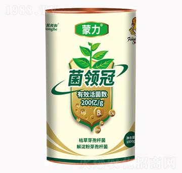 蒙力菌領冠-豐民同和