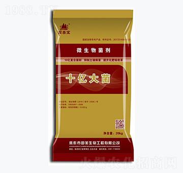 ΢�������-ʮ�|���-��������