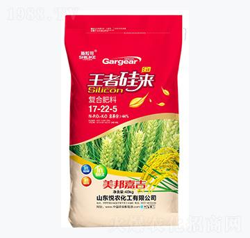 ��(f��)�Ϸ���17-22-5-ʩ����-���r(n��ng)����