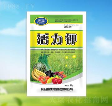 �����-��������