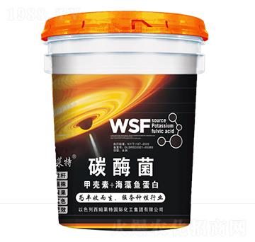 ̼ø��-��ķ�R��