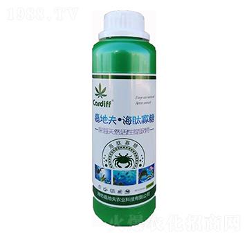 ���Ĺ���-�εط�