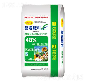 ������͏�(f��)�����10-8-30-ʩ���S