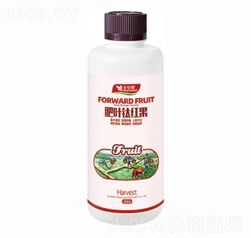 ���~⁼t��-�S�A��-�S�A�ʘI(y��)