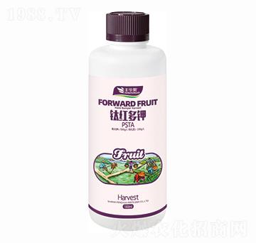 ⁼t���PSTA-�S�A��-�S�A�ʘI(y��)