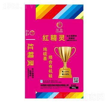 ������j(lu��)���ЙC(j��)��-�t���`-��ӯ����