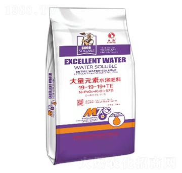 ����Ԫ��ˮ�ܷ���19-19-19+TE-��ӯ����