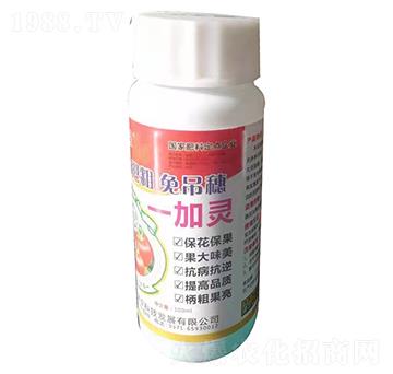 �����һ���`-���S�Ƽ�