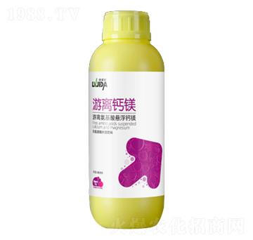 ���x�}�V-�G���}-������