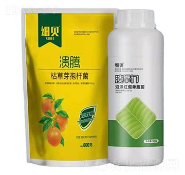 �ݲ�ѿ�ߗU��+�ӝɼt�نΰ���-���v+�����T��ؐ-������