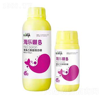 �����Ҵ����j����-������-������