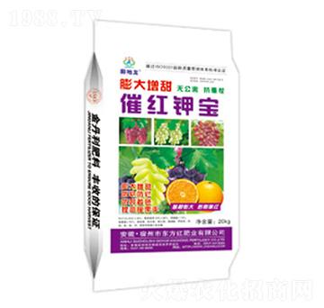 膨大增甜催紅鉀寶-膨地龍-東方紅